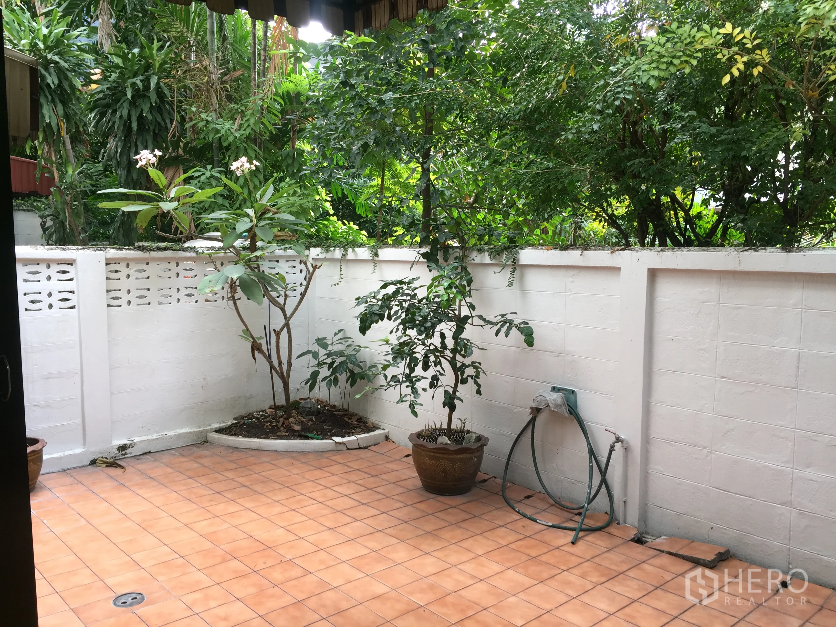 Townhouse for rent in Khlong Toei, Bangkok - Private tiled patio with potted plants and a white boundary wall.
