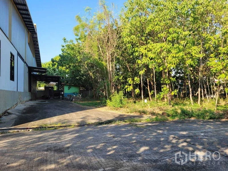 工厂 出售在Saphan Sung, Bangkok - 工厂侧院，混凝土车道与成排树木。