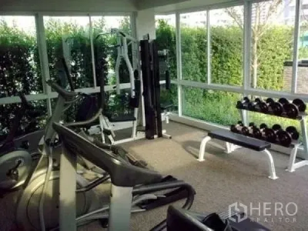 คอนโด ให้เช่าหรือขายในKhlong Toei, Bangkok - ห้องฟิตเนสคอนโดพร้อมเครื่องออกกำลังกายและดัมเบล มองเห็นสวนผ่านกระจก