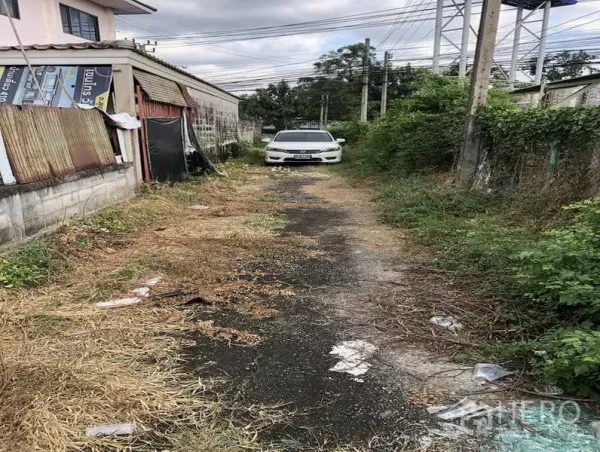 คลังสินค้า ให้เช่าในSai Mai, Bangkok - ซอยทางเข้าแคบสู่ทรัพย์ มีรถจอด เสาไฟ และวัชพืชสองข้างทาง