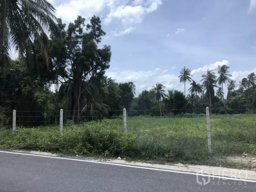Land for rent or sale in Nonthaburi - Fenced green land plot with paved-road frontage and palm trees in Bang Kruai, Nonthaburi.