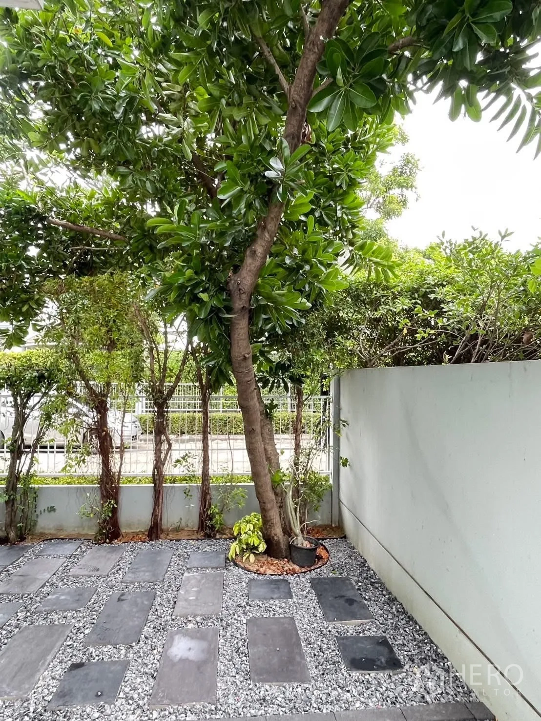 Detached House for rent in Bang Phli, Samut Prakan - Private corner garden with mature tree, gravel and stepping stones along wall.