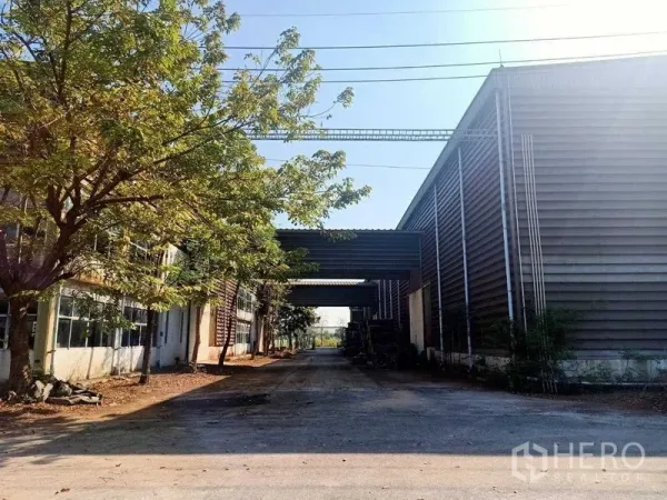 Warehouse for rent in Mueang Samut Sakhon, Samut Sakhon - Tree-lined driveway between large metal-clad warehouse buildings with covered links.