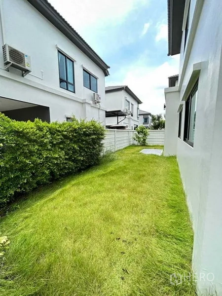 Detached House for rent in Khlong Sam Wa, Bangkok - Side yard with green lawn, hedge and white perimeter fence