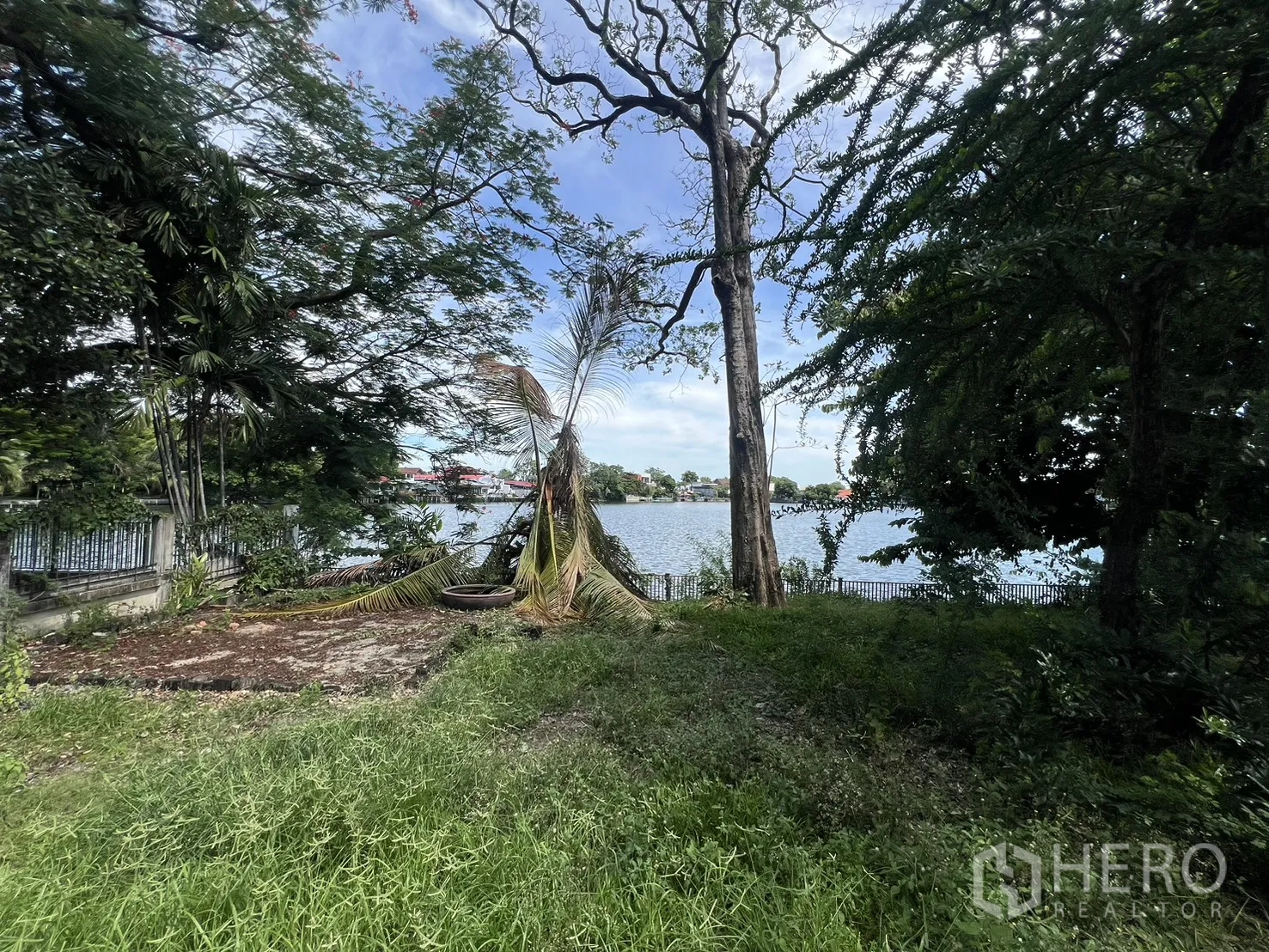 Detached House for sale in Saphan Sung, Bangkok - Shaded lawn overlooking a serene lake with trees along the edge.