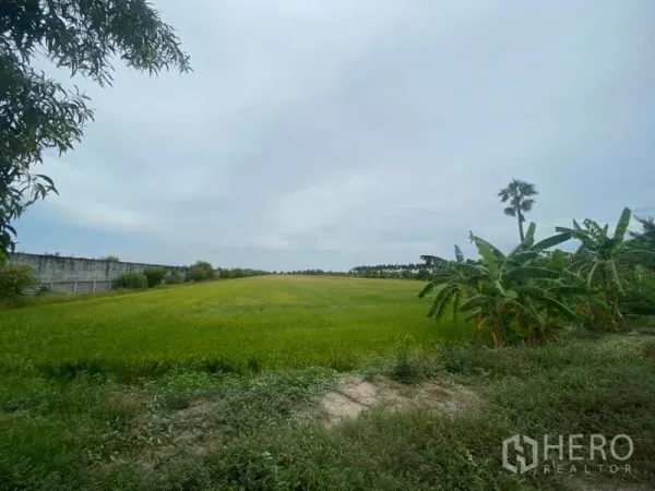 Land for sale in Bang Bua Thong, Nonthaburi - Open farmland with banana trees along the edge and a distant treeline in Nonthaburi.