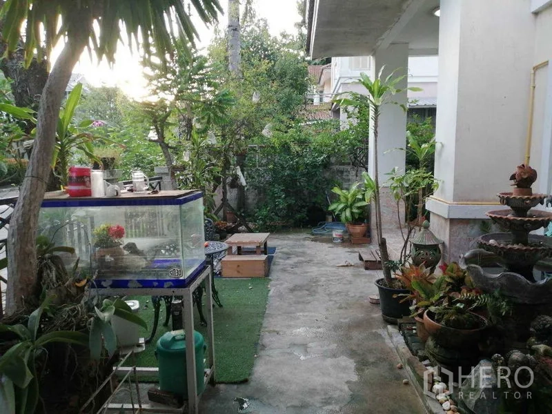 บ้าน ขายในPrawet, Bangkok - ลานข้างบ้านมีต้นไม้กระถาง น้ำพุเล็ก และทางเดินคอนกรีต