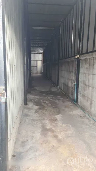 Warehouse for rent in Bang Kapi, Bangkok - Covered side corridor along the warehouse wall with concrete flooring.