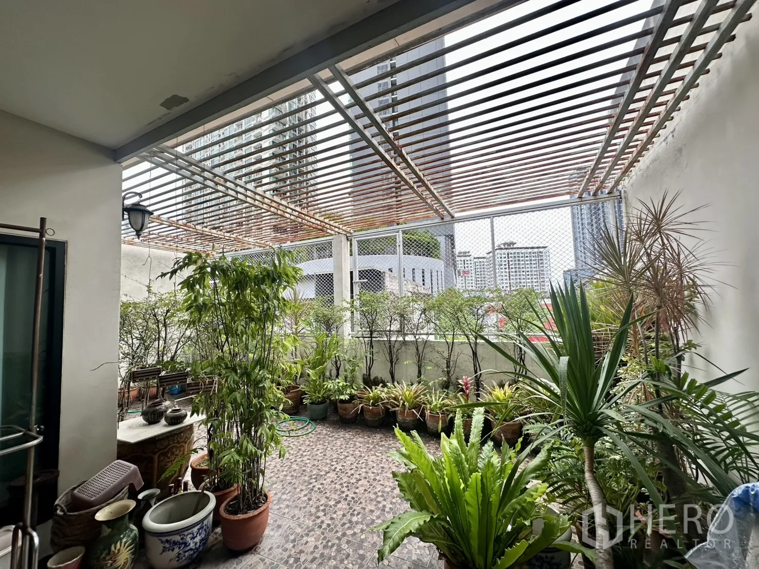 Shophouse for sale in Watthana, Bangkok - Corner of rooftop terrace filled with potted greenery and skyline views.
