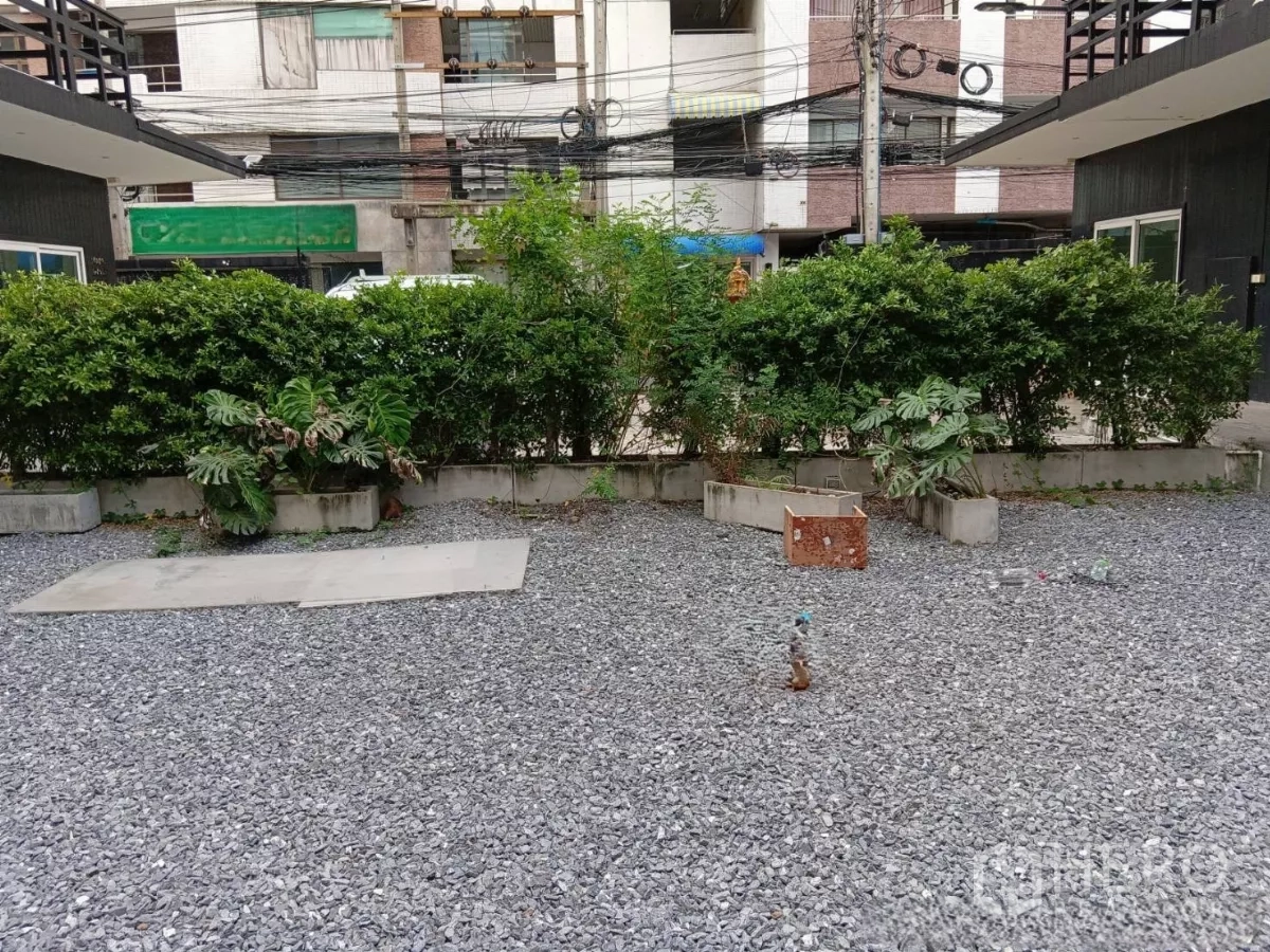 零售空间 出租在Huai Khwang, Bangkok - 绿篱花槽分隔碎石庭院与街景。