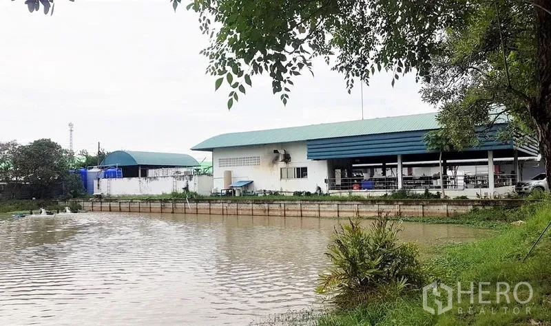 โรงงาน ขายในLam Luk Ka, Pathum Thani - อาคารโรงงานติดสระน้ำภายในพื้นที่ รายล้อมด้วยต้นไม้และพื้นที่สีเขียว