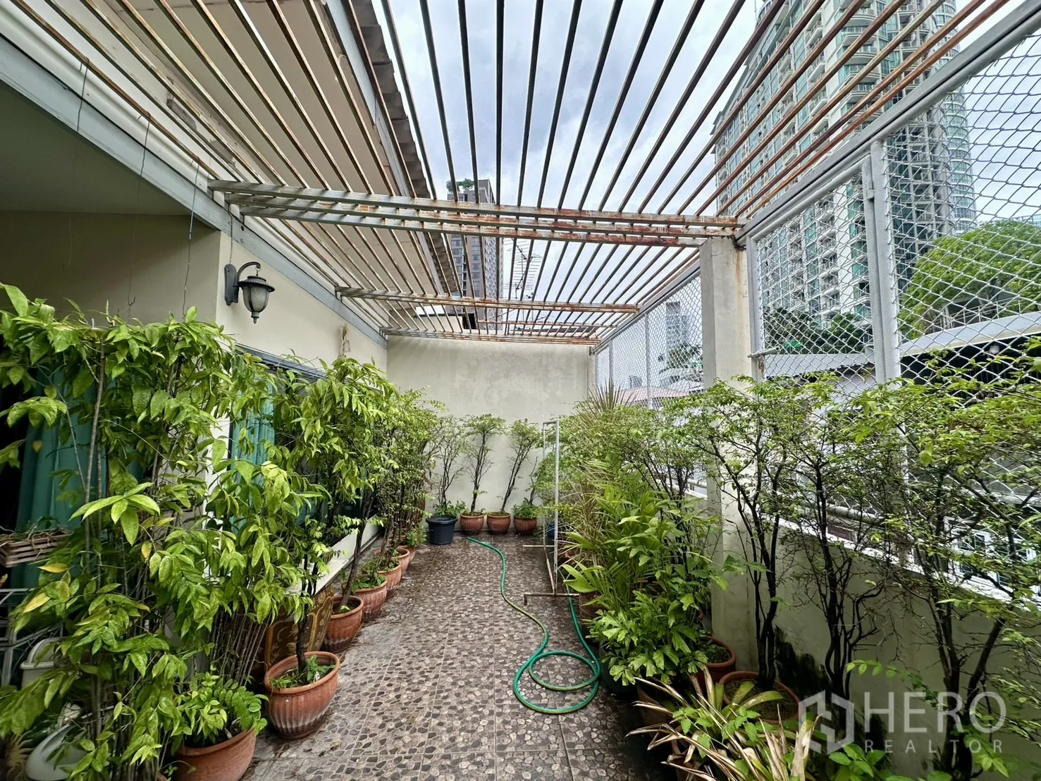 Shophouse for sale in Watthana, Bangkok - Terrace garden with potted plants beneath a pergola and city buildings beyond.