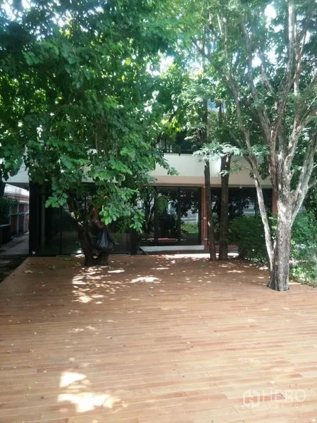 สำนักงานที่บ้าน ให้เช่าในHuai Khwang, Bangkok - เด็คไม้กว้างใต้ร่มไม้ หน้าอาคารกระจก