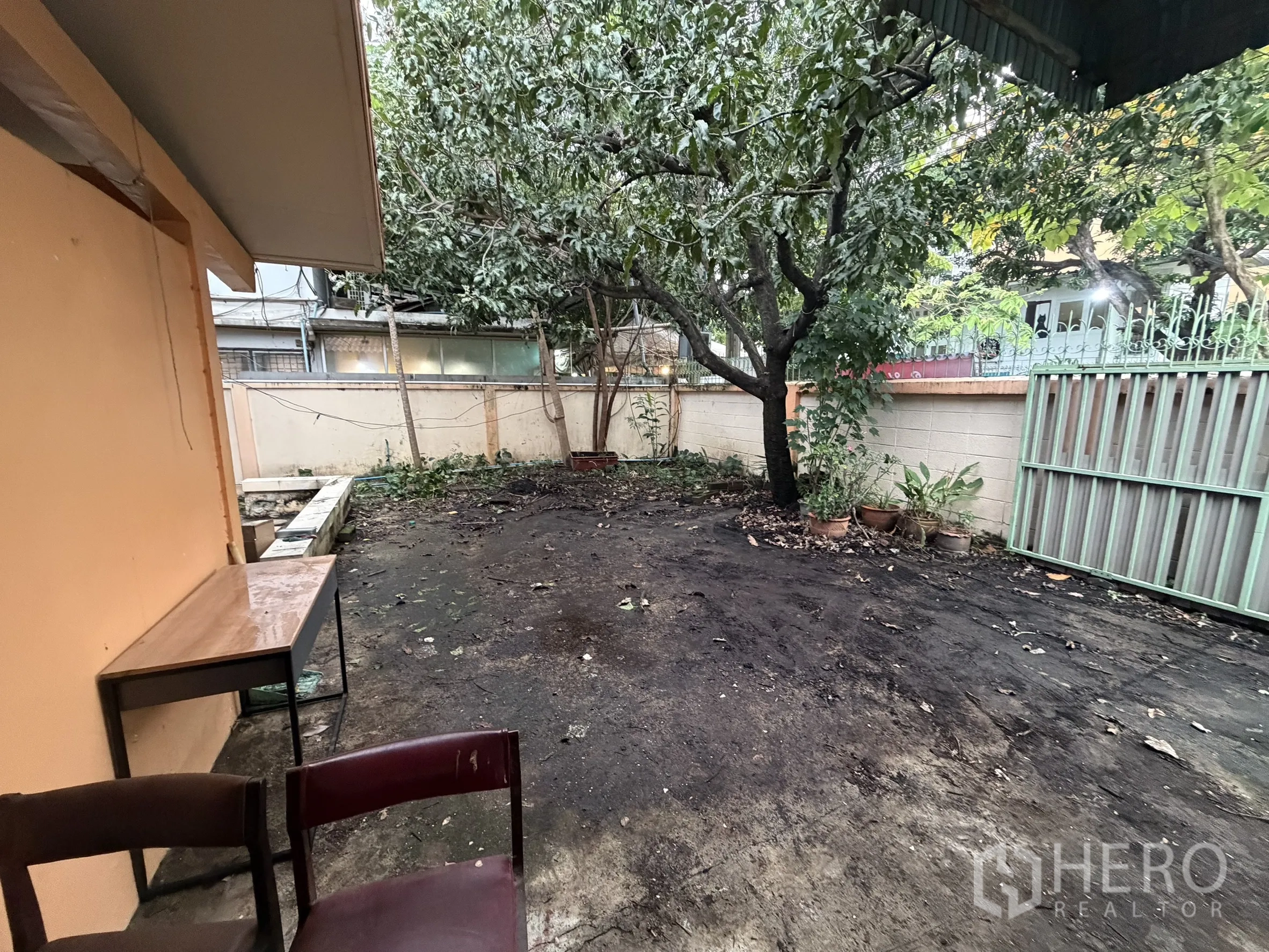 Shophouse for rent in Sathon, Bangkok - Private walled yard with a mature tree and green steel gate.