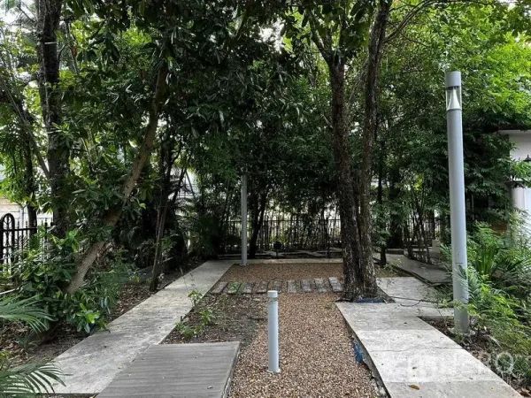 Detached House for sale in Bang Khun Thian, Bangkok - Shaded garden with mature trees, gravel path and concrete walkways.