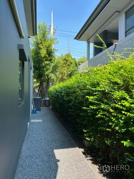 独立式住宅 出租在Bang Kapi, Bangkok - 房屋侧院步道，两侧绿色树篱。