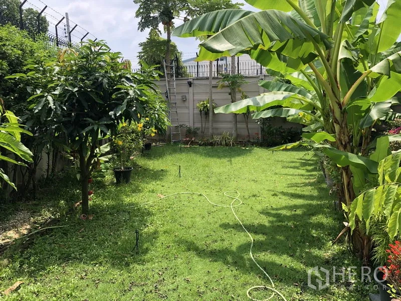 บ้าน ให้เช่าในSuan Luang, Bangkok - สนามหญ้าหลังบ้าน แวดล้อมด้วยต้นไม้เมืองร้อนและไม้ผล