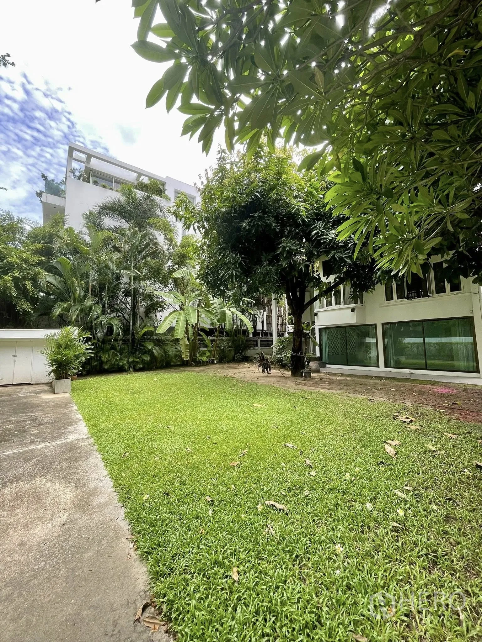 บ้านเดี่ยว for rent in Pathum Wan, Bangkok - สวนสนามหญ้าและต้นไม้ทรอปิคอลข้างบ้าน