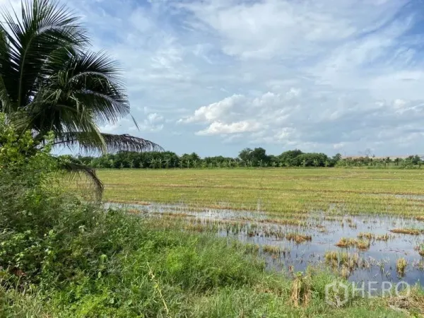Land for sale in Nakhon Chai Si, Nakhon Pathom - Expansive flat agricultural field with irrigation water and open sky, illustrating the land’s terrain.