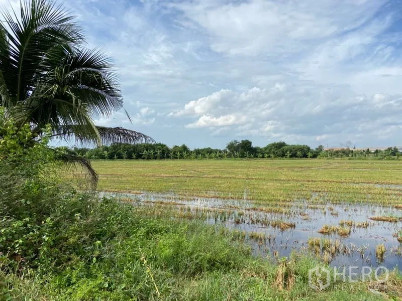 Land for sale in Nakhon Chai Si, Nakhon Pathom - Expansive flat agricultural field with irrigation water and open sky, illustrating the land’s terrain.