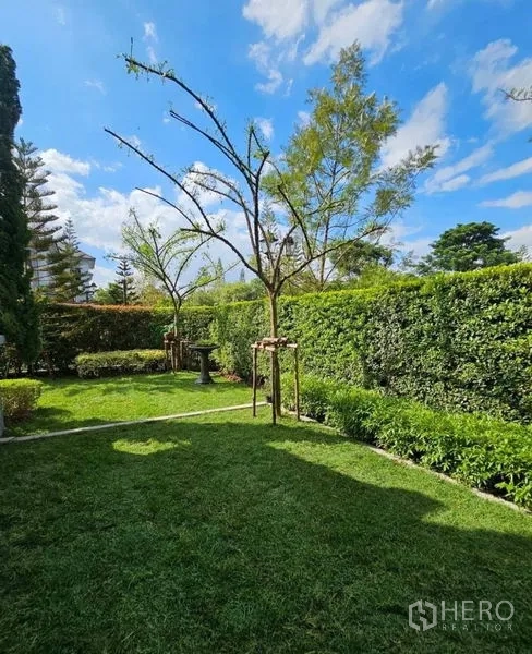 บ้าน ให้เช่าหรือขายในSaphan Sung, Bangkok - สนามหญ้าหลังบ้านรับแสง ต้นไม้และแนวรั้วพุ่ม