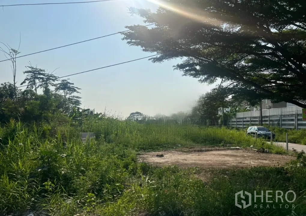 Land for sale in Lat Krabang, Bangkok - Cleared pad within the plot shaded by a large tree near the lane.