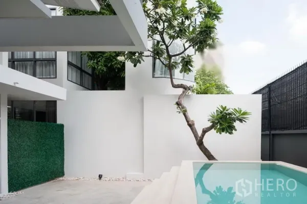 Home Office for rent in Khlong Toei, Bangkok - Minimalist courtyard with a small plunge pool, white walls and a sculptural tree.