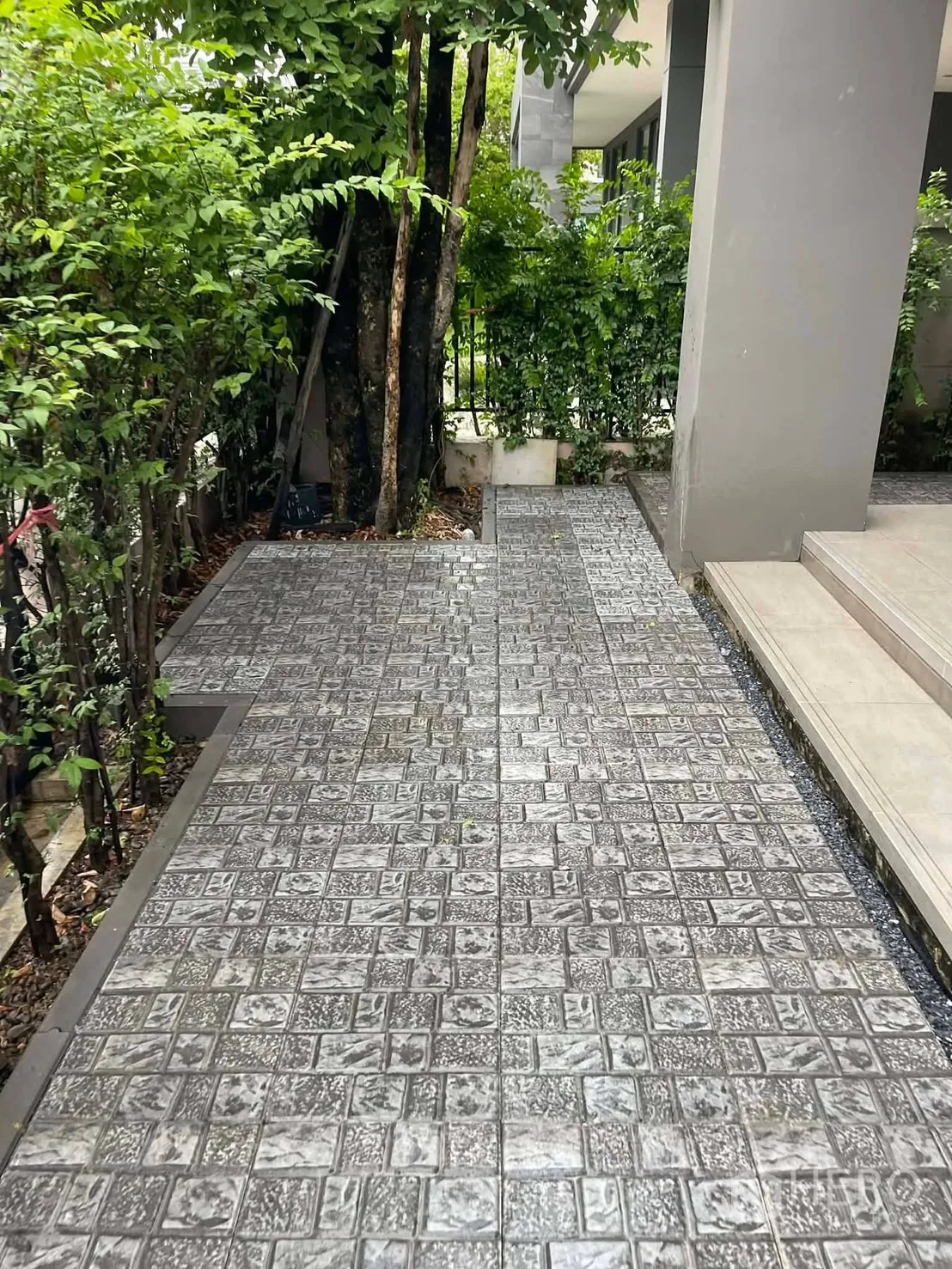 บ้านเดี่ยว for rent in Saphan Sung, Bangkok - สวนหน้าบ้านมีต้นไม้ใหญ่ พุ่มไม้ และทางเดินกระเบื้องขึ้นชานพัก.