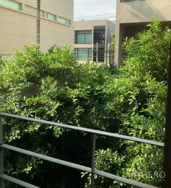 ทาวน์เฮาส์ ให้เช่าหรือขายในSuan Luang, Bangkok - วิวจากระเบียงร่มรื่นเหนือพุ่มไม้ มองเห็นอาคารสมัยใหม่โดยรอบ