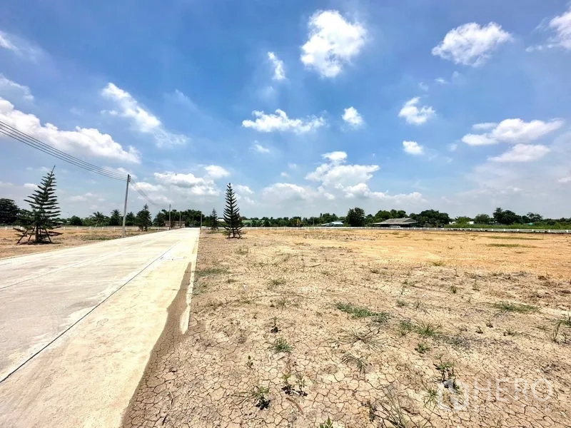Land for sale in Pathum Thani - Flat, cleared land beside a concrete road and power lines under blue sky, ideal for development.