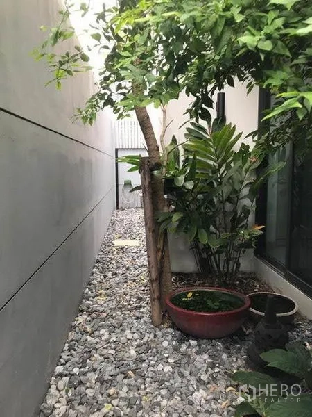 Townhouse for rent in Khlong Toei, Bangkok - Narrow side yard with gravel path, potted plants and a small tree beside the house.