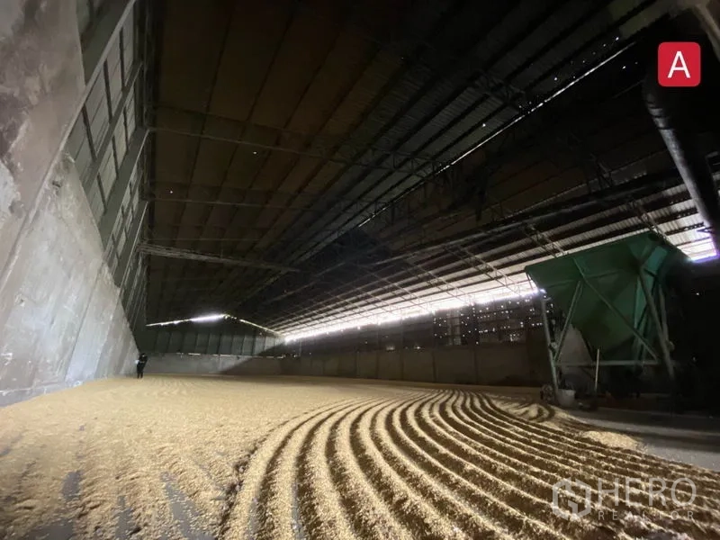 工厂 出租在Chachoengsao - 封闭式厂房分区，地面散装物料与钢结构屋面