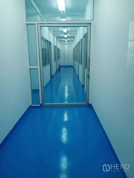 โรงงาน ขายในPathum Thani - ทางเดินยาว ไฟฟลูออเรสเซนต์ ผนังกั้นกระจก พื้นอีพ็อกซี่สีน้ำเงินเงา