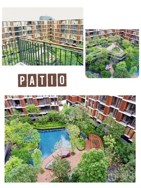 คอนโด ให้เช่าในWatthana, Bangkok - วิวจากระเบียงมองลงสู่คอร์ทยาร์ดสีเขียว สระว่ายน้ำสไตล์รีสอร์ท และสวนร่มรื่นของโครงการ Mori Haus