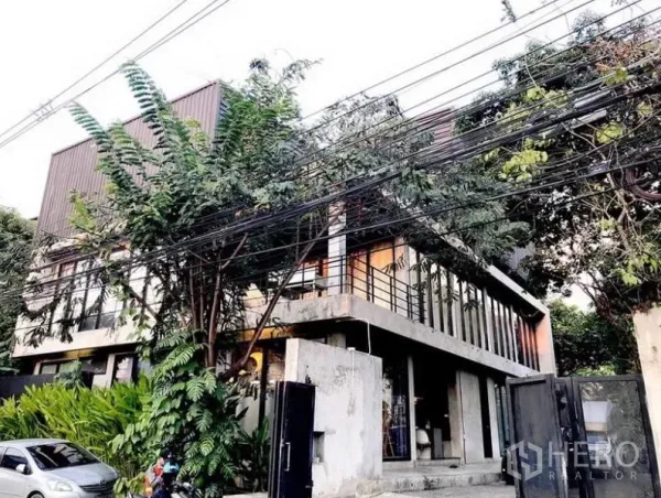 Shophouse for rent in Chatuchak, Bangkok - Modern two-storey concrete shophouse with large windows, balcony and trees at the frontage.