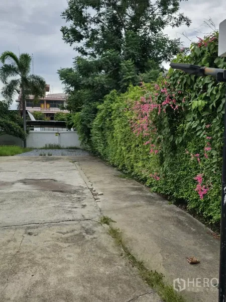 บ้าน ให้เช่าหรือขายในLat Phrao, Bangkok - ทางรถเข้าด้านข้างติดแนวรั้วต้นไม้สูงและดอกไม้สีชมพู