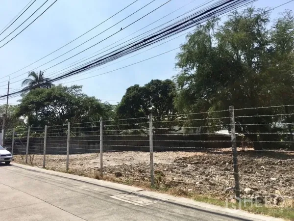 ที่ดิน ให้เช่าในBang Na, Bangkok - ด้านหน้าที่ดินติดถนนคอนกรีตเงียบสงบ พร้อมสายไฟเหนือศีรษะ