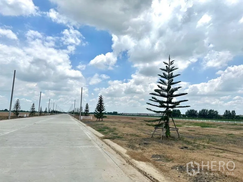 Land for sale in Pathum Thani - 12‑meter-wide concrete access road with young trees and open plots in Lam Luk Ka, Pathum Thani.