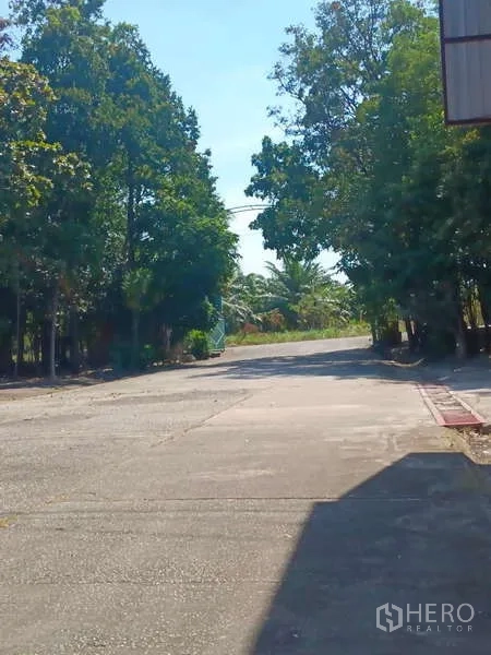 货栈 出租在Mueang Rayong, Rayong - 通往仓库园区的私家车道，两侧绿树成荫。