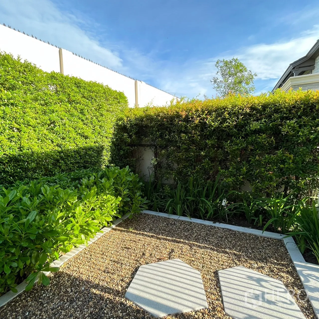 บ้าน ให้เช่าหรือขายในBang Khen, Bangkok - มุมสวนส่วนตัว พื้นกรวดและแนวพุ่มหนาทึบ