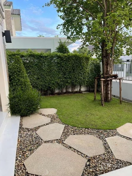 Detached House for rent in Bang Phli, Samut Prakan - Private garden with stepping-stone path, mature tree and hedge.