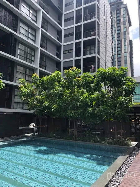 Condominium for rent in Watthana, Bangkok - Outdoor swimming pool framed by trees with modern condo facades in the background.