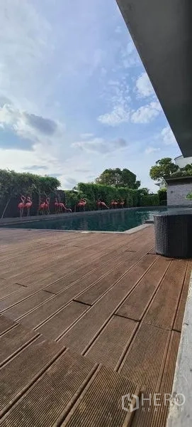 Townhouse for sale in Suan Luang, Bangkok - Outdoor swimming pool with wooden deck and tall hedge under a blue sky.