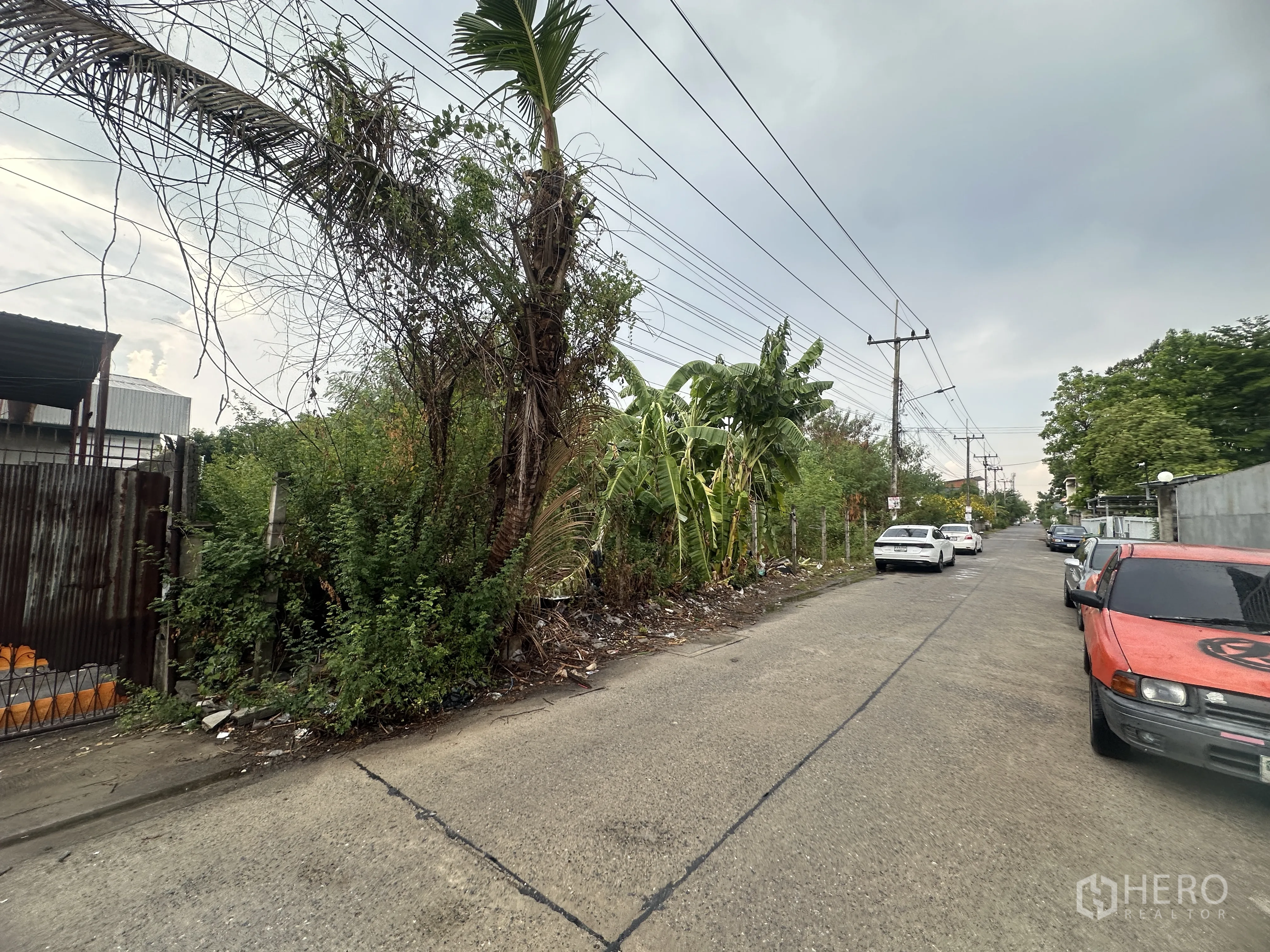 土地 for sale in Lam Luk Ka, Pathum Thani - 从街道角度展示地块沿混凝土道路的临街面与路边车辆。