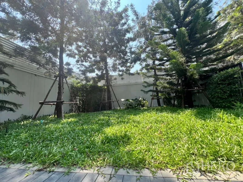 ทาวน์เฮาส์ ให้เช่าในPhra Khanong, Bangkok - สนามหญ้าและต้นไม้ใหญ่ในสวนส่วนตัวของทาวน์เฮ้าส์