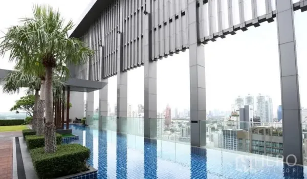 คอนโด ให้เช่าหรือขายในKhlong Toei, Bangkok - สระว่ายน้ำอินฟินิตี้บนดาดฟ้าวิวสกายไลน์ เมือง พร้อมต้นปาล์มและราวกระจกที่คอนโดคลองเตย