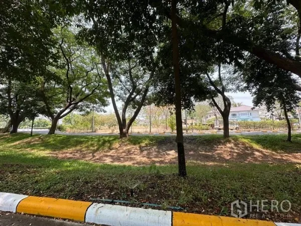 Land for sale in Khlong Luang, Pathum Thani - View through tall trees across a quiet road to houses and an open land plot.