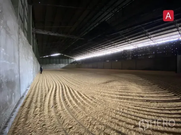 工厂 出租在Chachoengsao - 大型覆盖式储区，通风屋顶，地面铺有散装物料