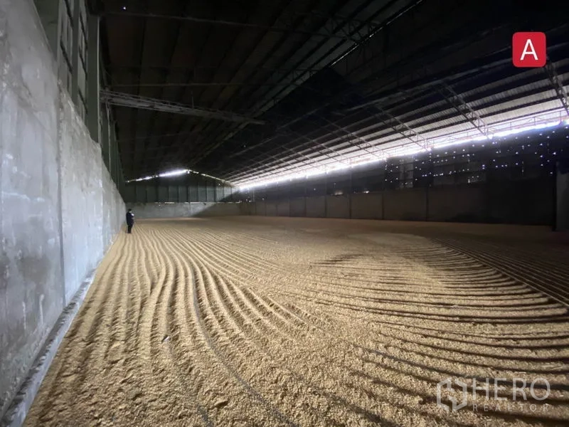 工厂 出租在Chachoengsao - 大型覆盖式储区，通风屋顶，地面铺有散装物料