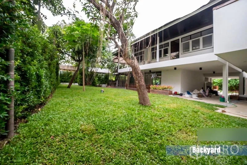 Home Office for rent in Khlong Toei, Bangkok - Lush backyard lawn with trees and privacy hedges behind the house.